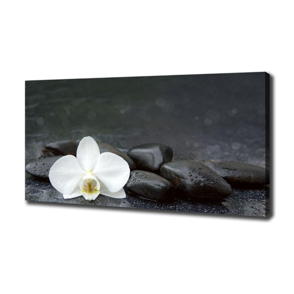 Canvas wall art Orchid