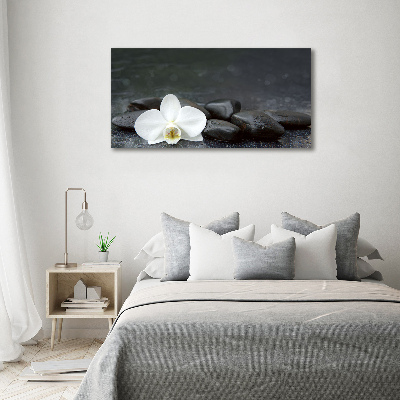 Canvas wall art Orchid