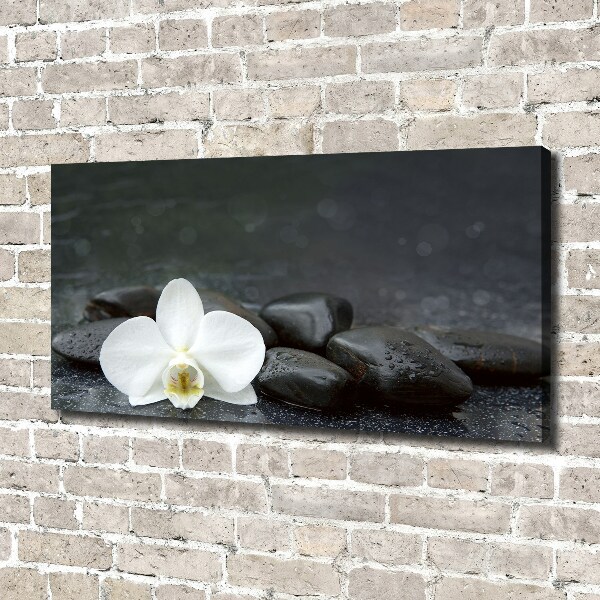 Canvas wall art Orchid