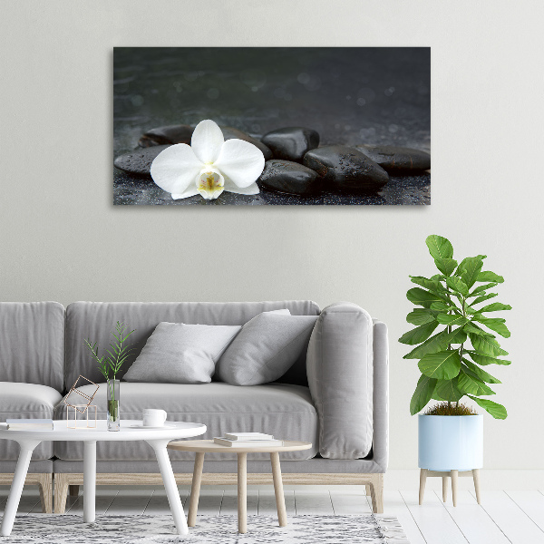 Canvas wall art Orchid