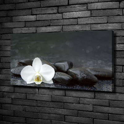 Canvas wall art Orchid