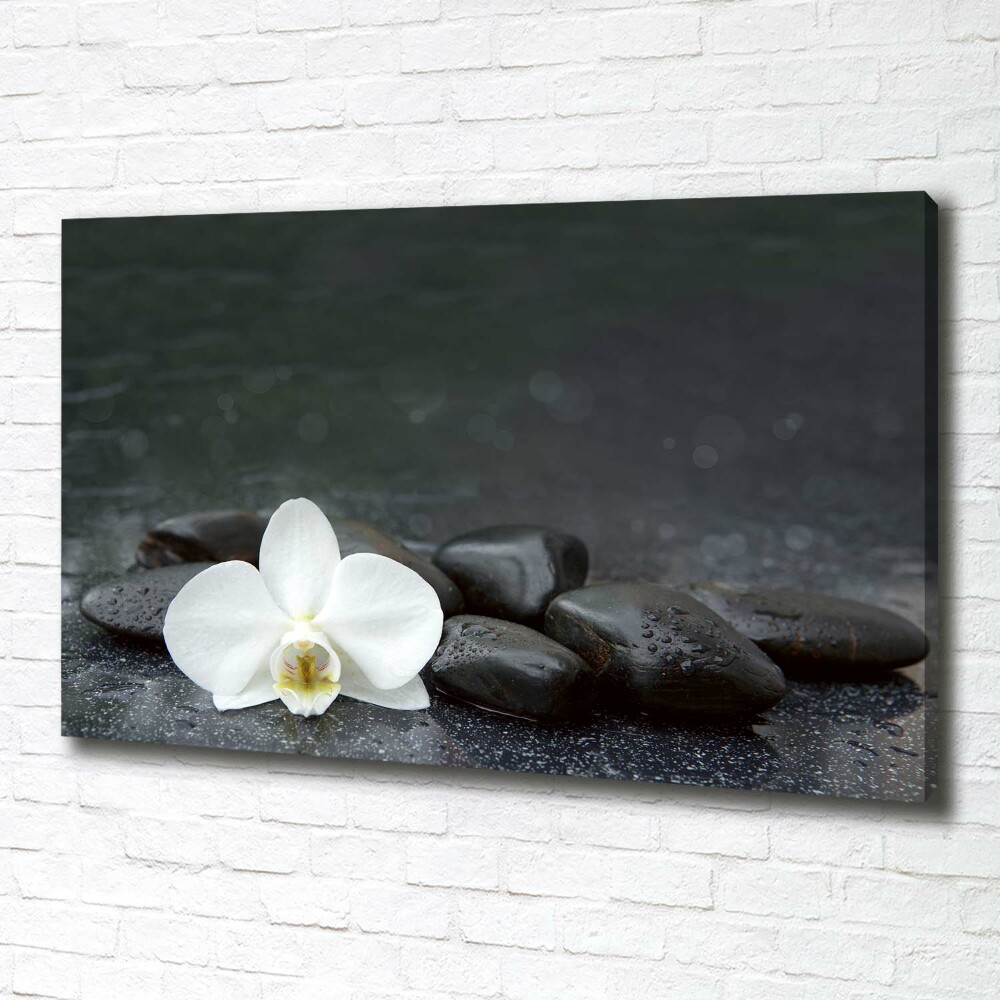 Canvas wall art Orchid