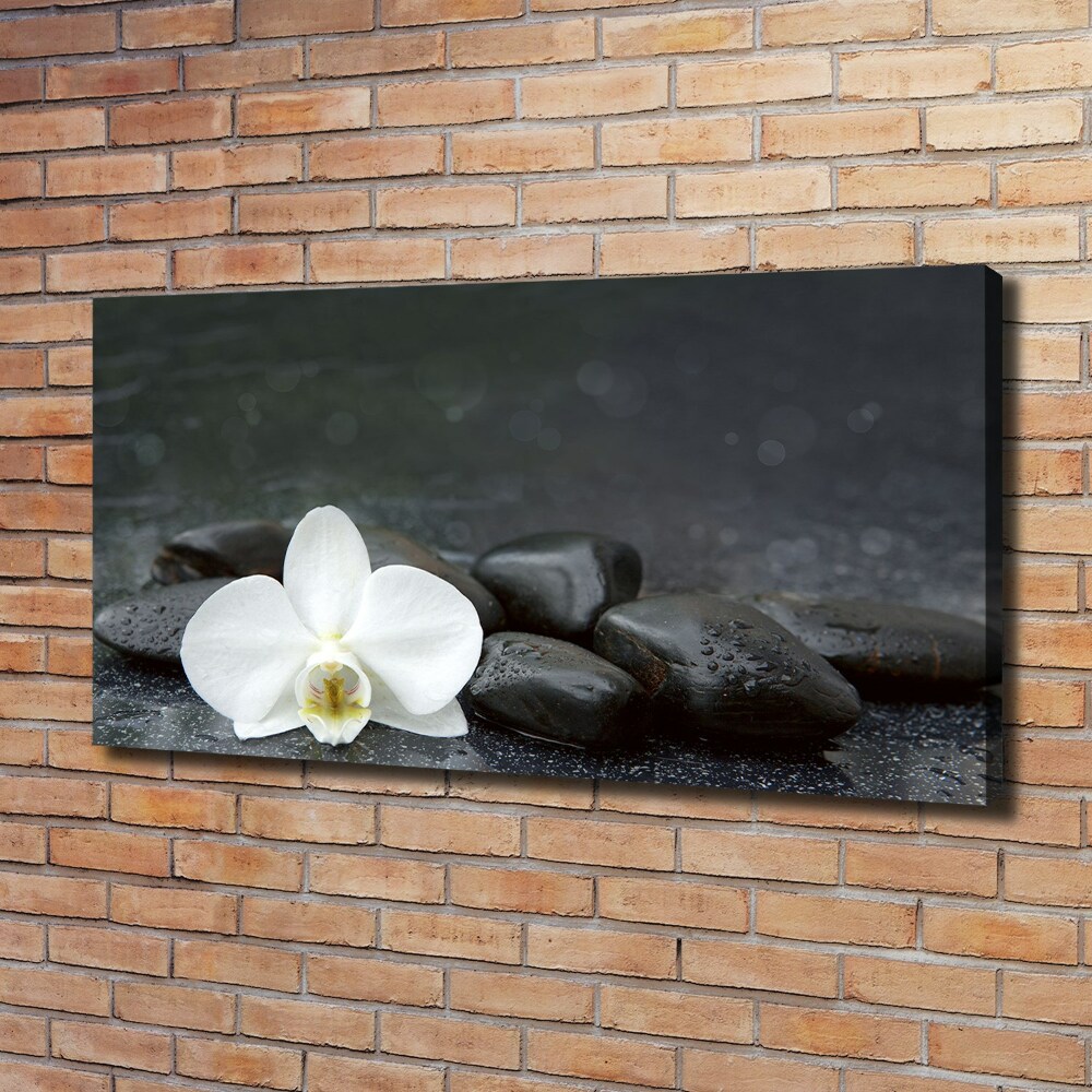 Canvas wall art Orchid