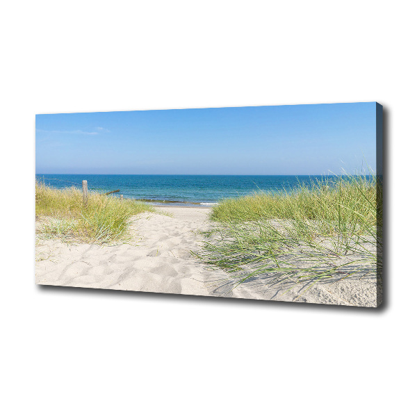 Canvas wall art Coastal dunes