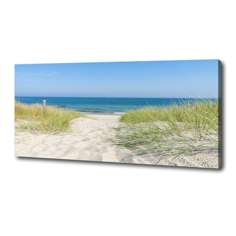 Canvas wall art Coastal dunes