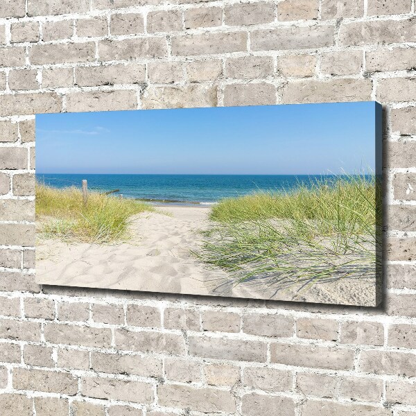 Canvas wall art Coastal dunes