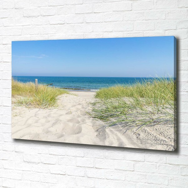 Canvas wall art Coastal dunes