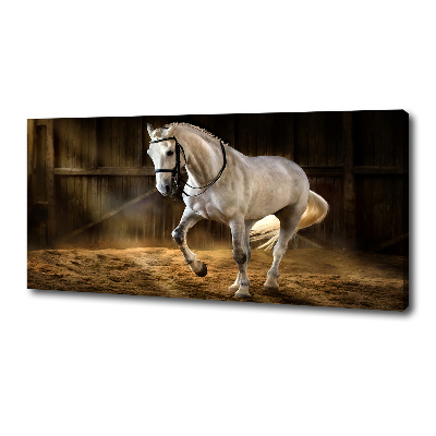 Canvas wall art White horse in the stable