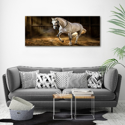 Canvas wall art White horse in the stable