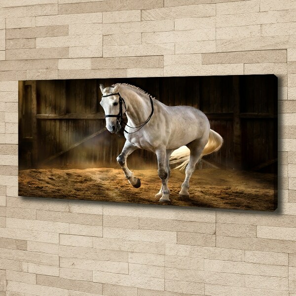 Canvas wall art White horse in the stable