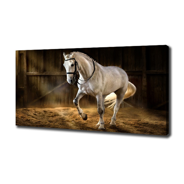 Canvas wall art White horse in the stable