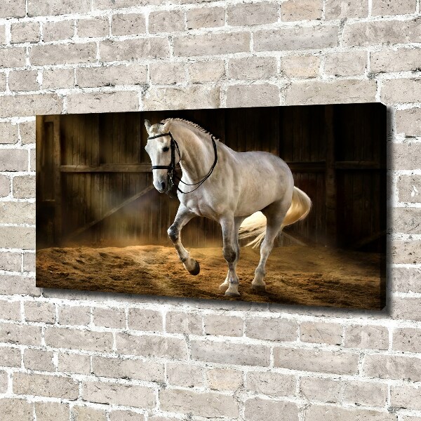 Canvas wall art White horse in the stable