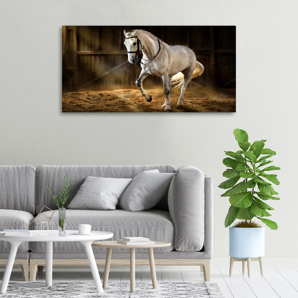 Canvas wall art White horse in the stable