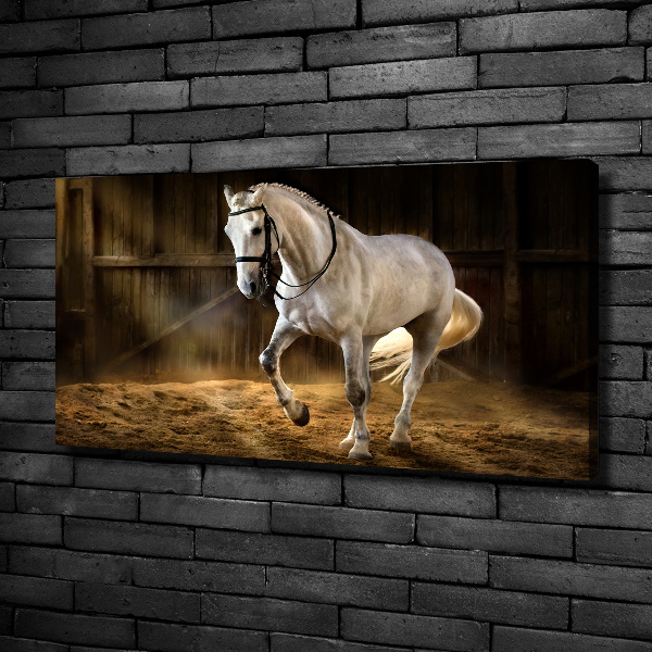 Canvas wall art White horse in the stable