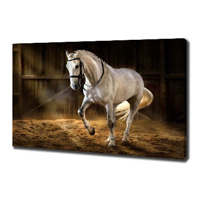 Canvas wall art White horse in the stable