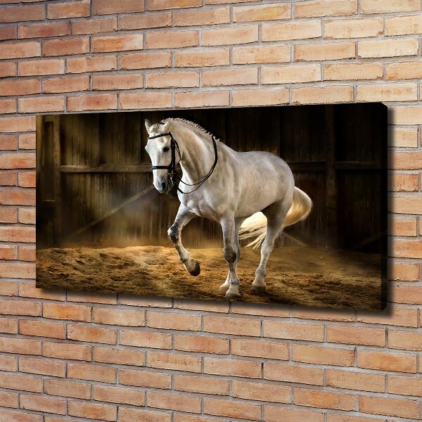 Canvas wall art White horse in the stable