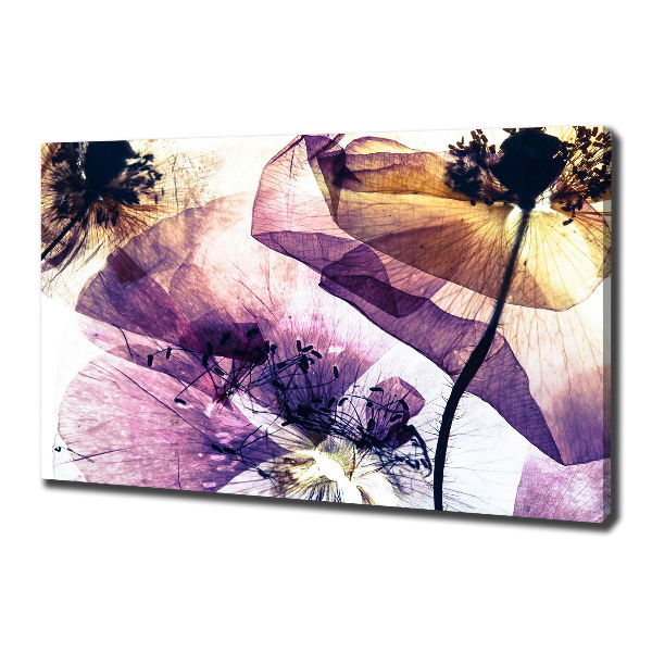 Canvas wall art Dry poppies