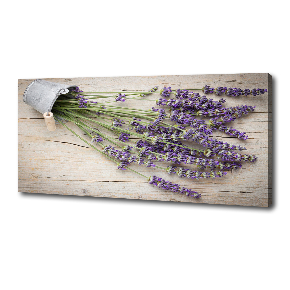 Canvas wall art Lavender in a pot