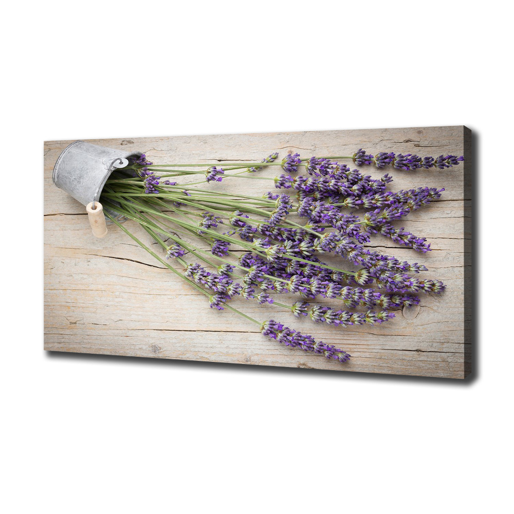 Canvas wall art Lavender in a pot