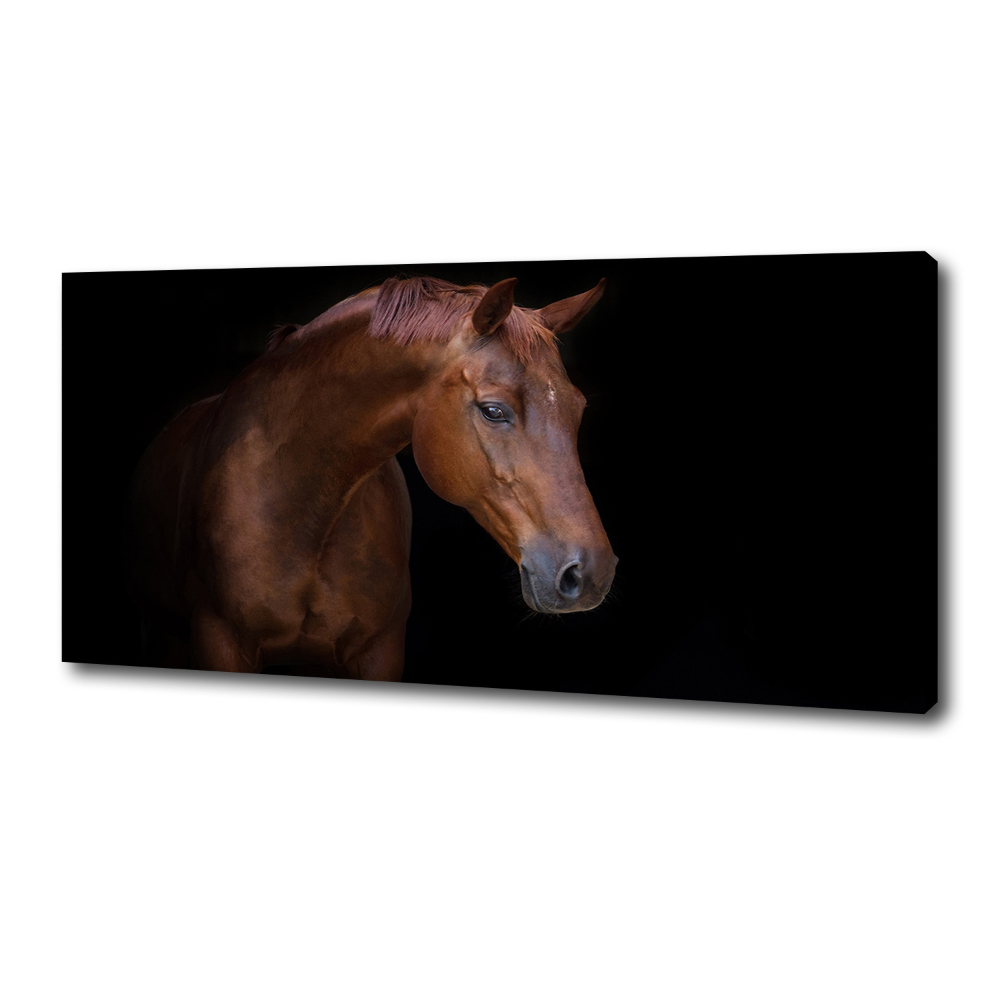 Canvas wall art Brown horse