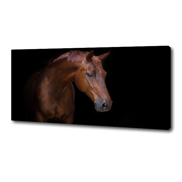 Canvas wall art Brown horse