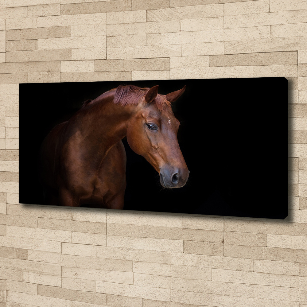 Canvas wall art Brown horse