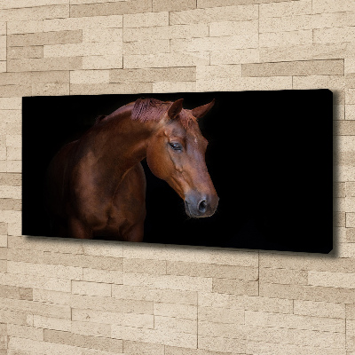 Canvas wall art Brown horse