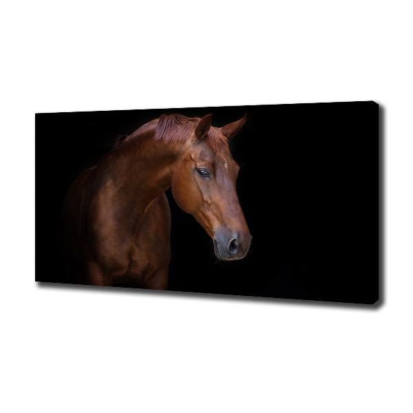 Canvas wall art Brown horse