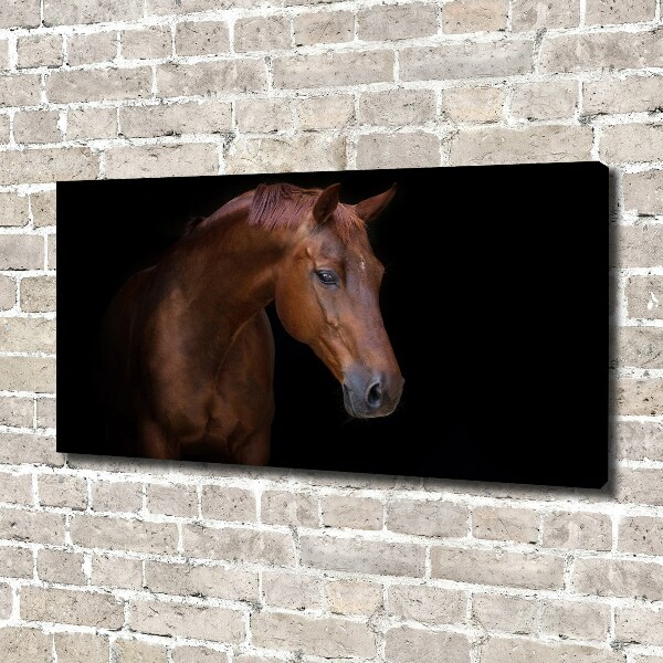 Canvas wall art Brown horse