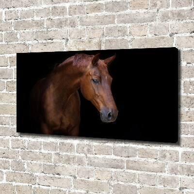 Canvas wall art Brown horse