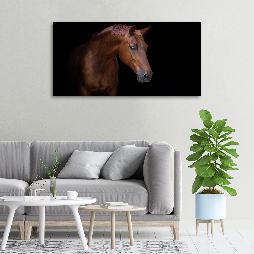 Canvas wall art Brown horse