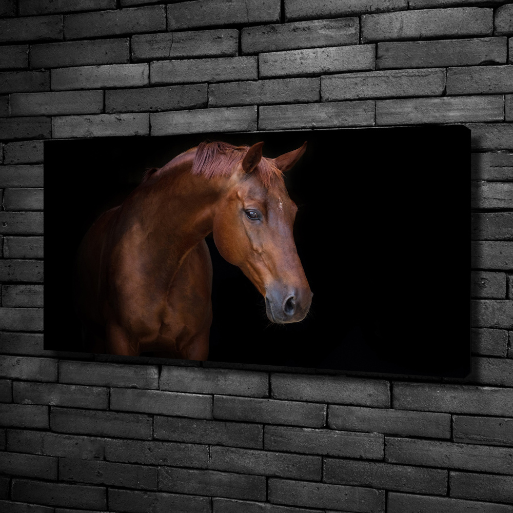 Canvas wall art Brown horse