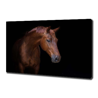 Canvas wall art Brown horse