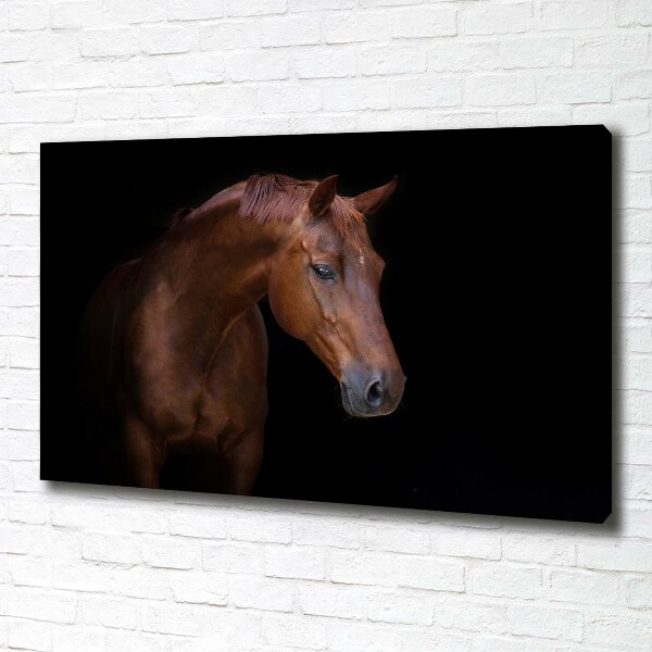 Canvas wall art Brown horse