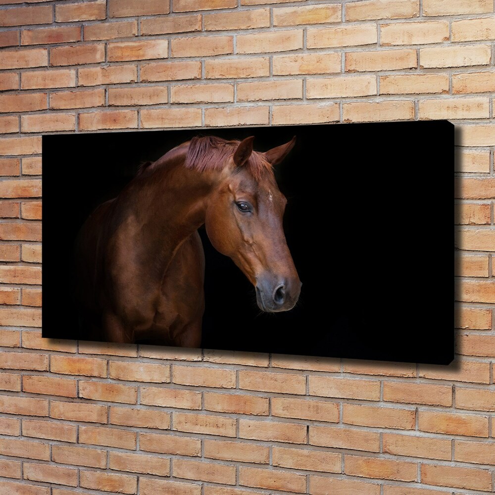 Canvas wall art Brown horse