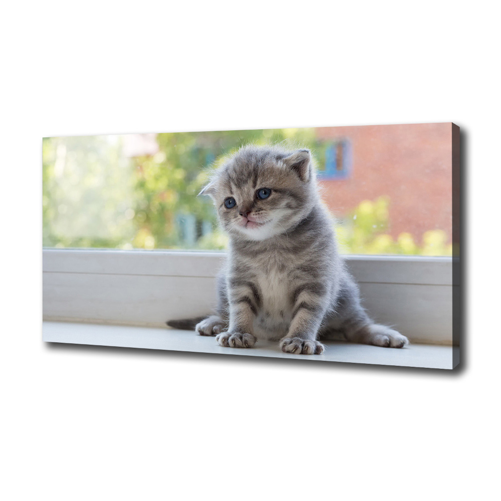 Canvas wall art Little Cat by the window