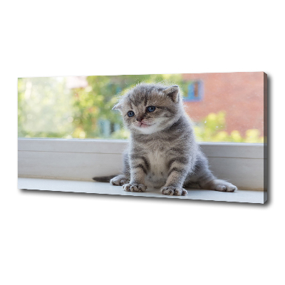 Canvas wall art Little Cat by the window