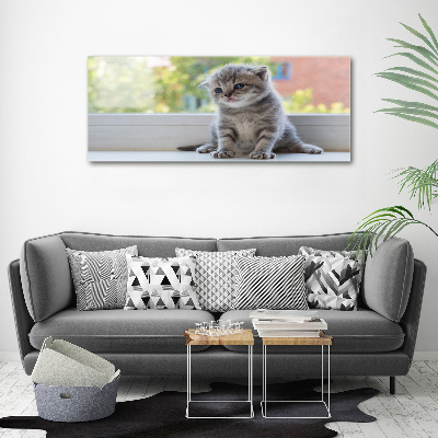 Canvas wall art Little Cat by the window