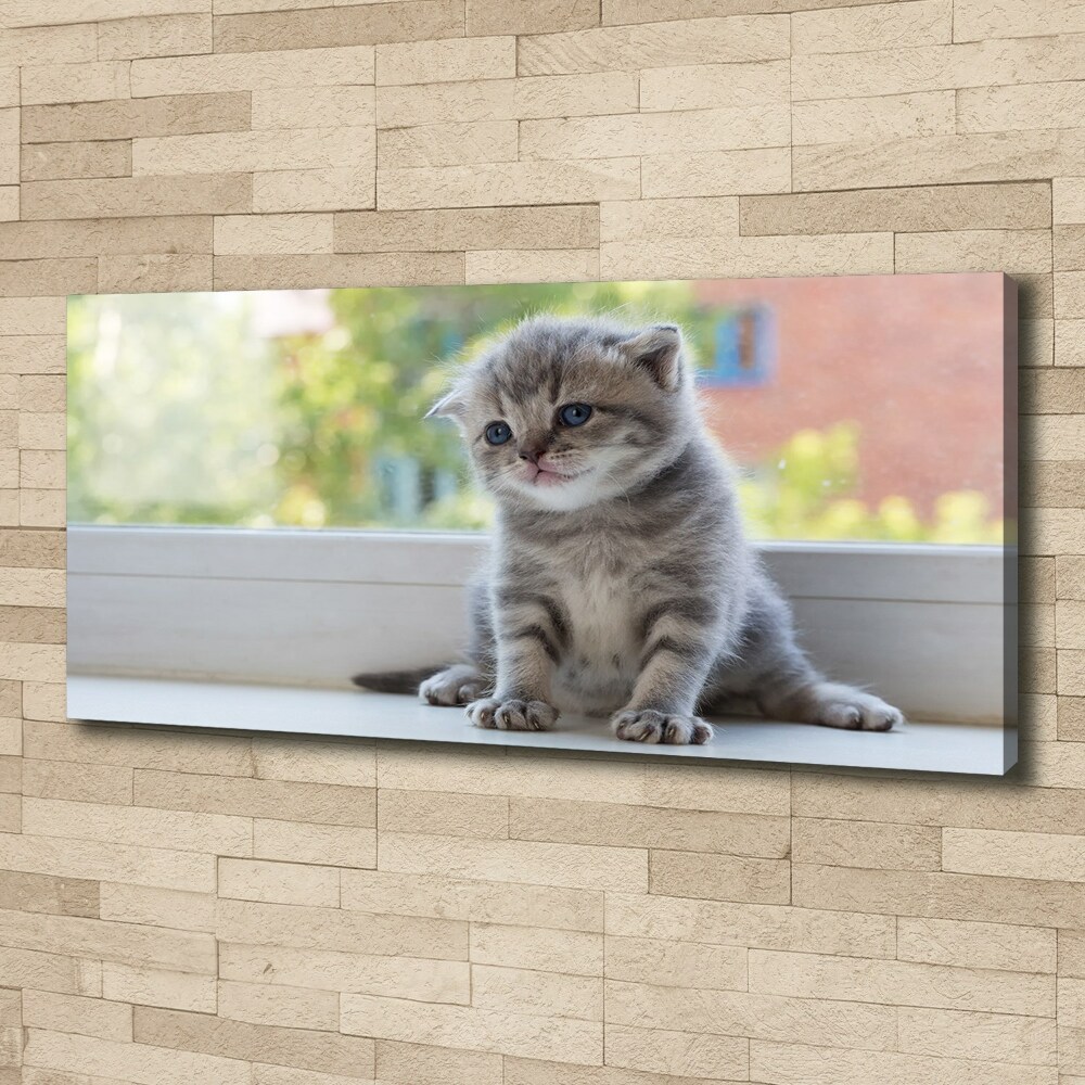 Canvas wall art Little Cat by the window