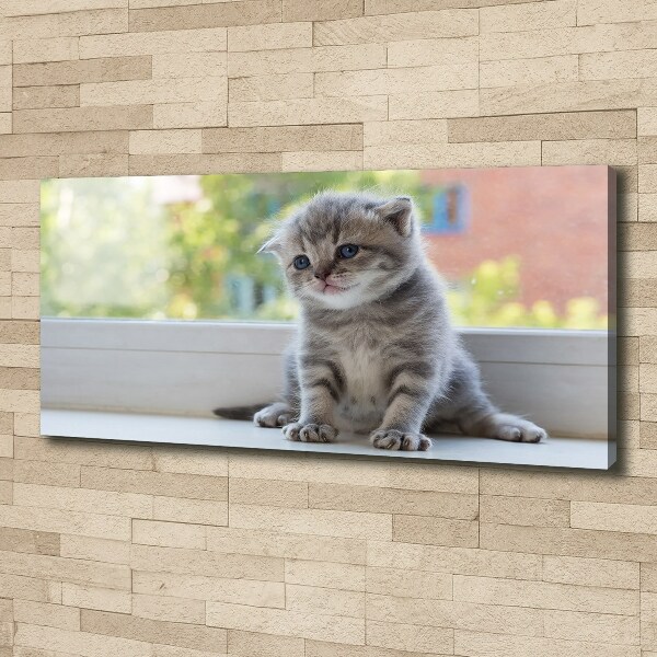 Canvas wall art Little Cat by the window