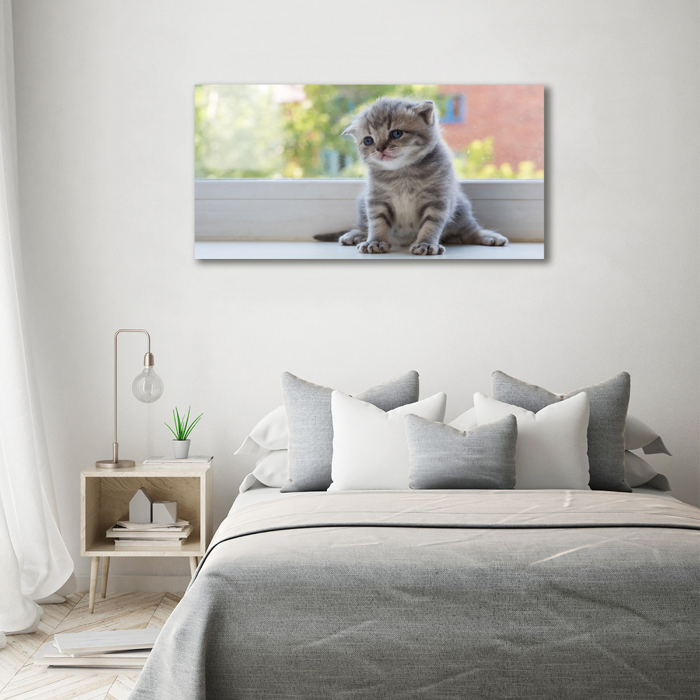 Canvas wall art Little Cat by the window