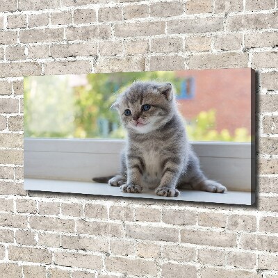 Canvas wall art Little Cat by the window