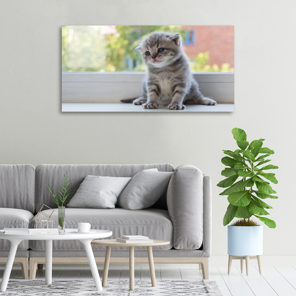 Canvas wall art Little Cat by the window