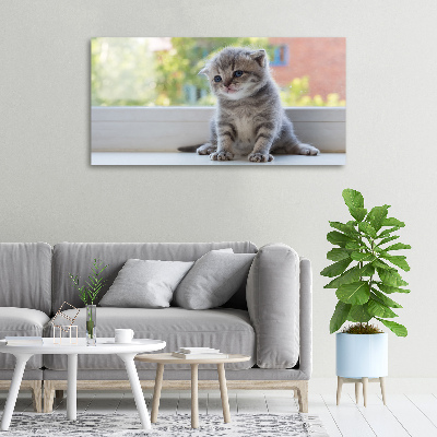 Canvas wall art Little Cat by the window