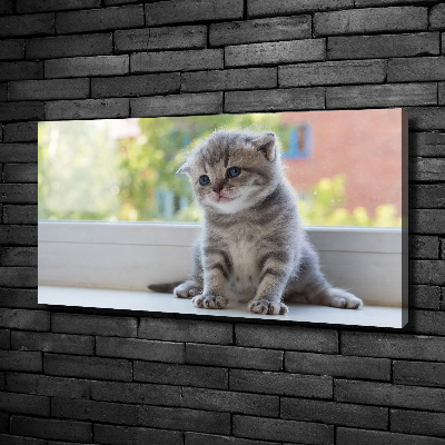 Canvas wall art Little Cat by the window