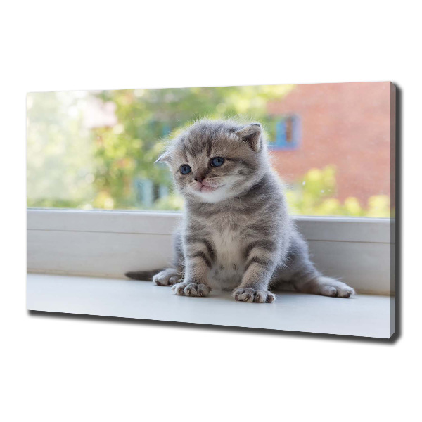 Canvas wall art Little Cat by the window