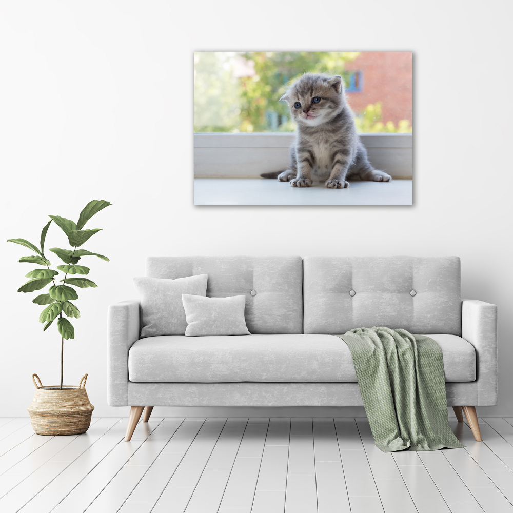 Canvas wall art Little Cat by the window