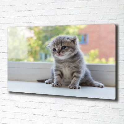 Canvas wall art Little Cat by the window