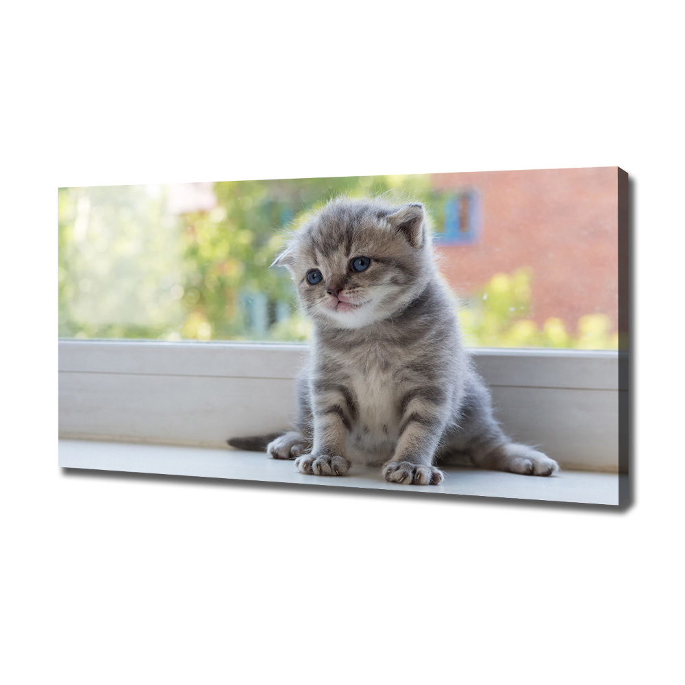 Canvas wall art Little Cat by the window