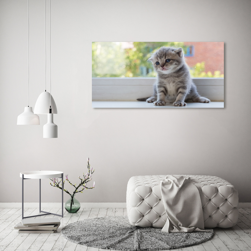 Canvas wall art Little Cat by the window